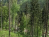 Miniature