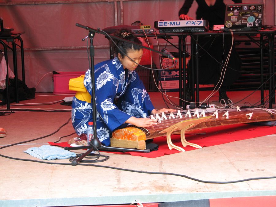 4 juin Les Pattes Folles - Campus La Bouloie - Festival Electroclique 2008 - Photo n3