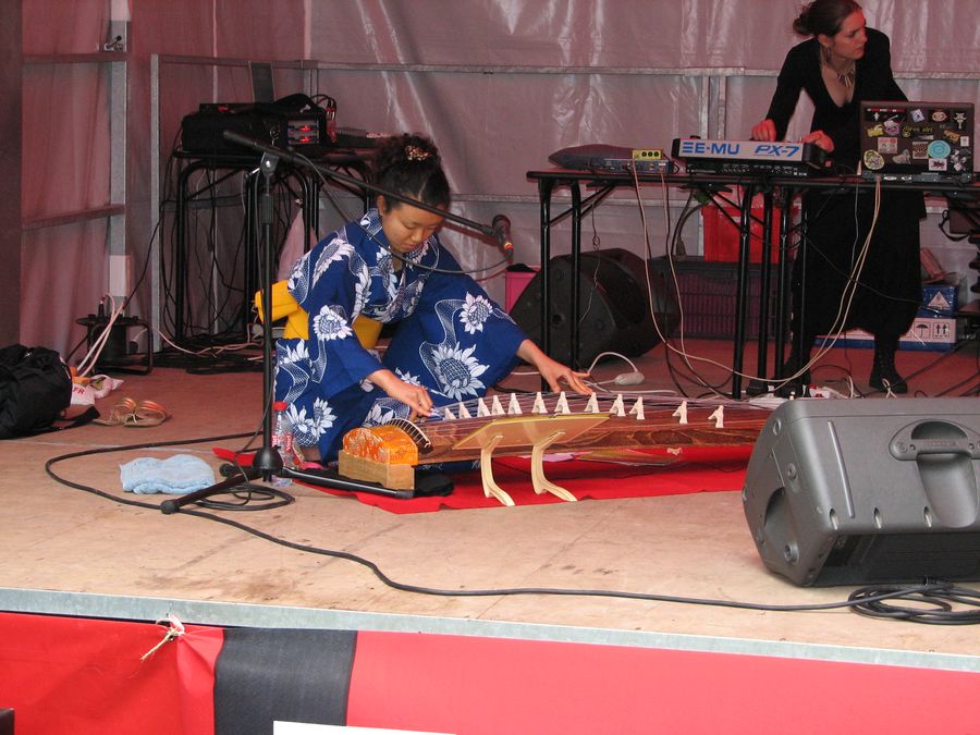 4 juin Les Pattes Folles - Campus La Bouloie - Festival Electroclique 2008 - Photo n8