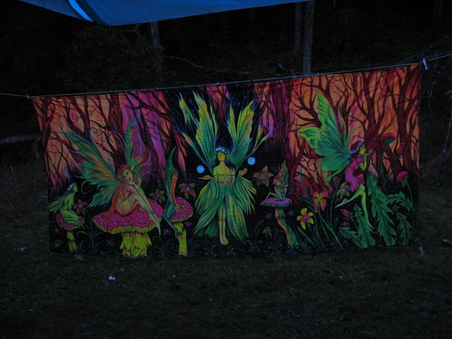 Line Up (day) - Freaks Machine 2009 - Photo n7