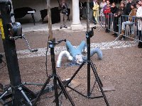 Citron Vert : Les Pattes Folles Sonorama 2009  Besanon photo n28